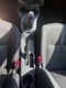 2025 Nissan V-Drive 1.6 A/C Mt